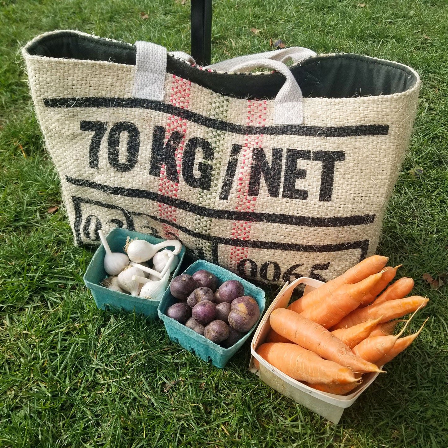 upcycled tote bag with cartons of fresh vegetables in front on bright green grass